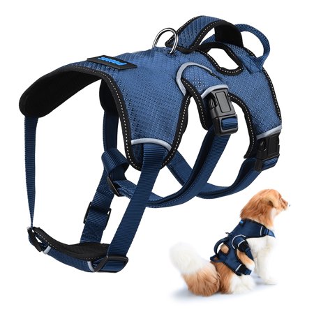 Medium Dog Full Body Dog Lift Harness, Walmart